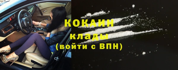 прущие грибы Абаза