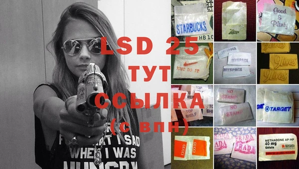прущие грибы Абаза