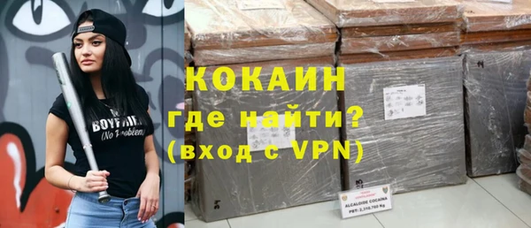 прущие грибы Абаза