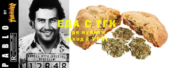прущие грибы Абаза