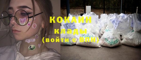 прущие грибы Абаза
