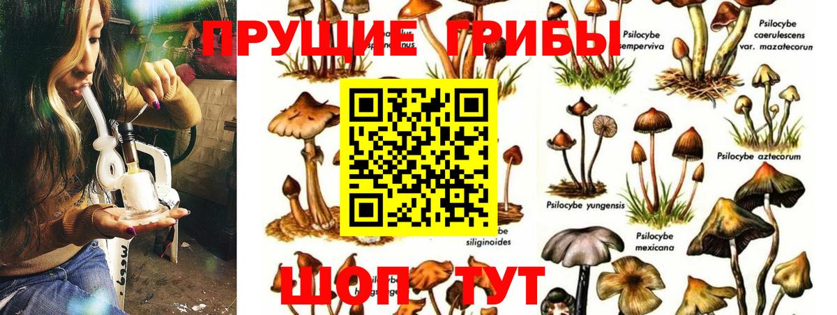 Серпухов  Псилоцибиновые грибы ЛСД  Вход с VPN  хочу   Галлюциногенные грибы MAGIC MUSHROOMS 
