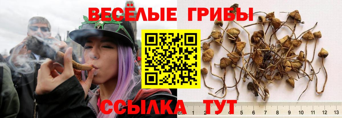 Галлюциногенные грибы мицелий Серпухов